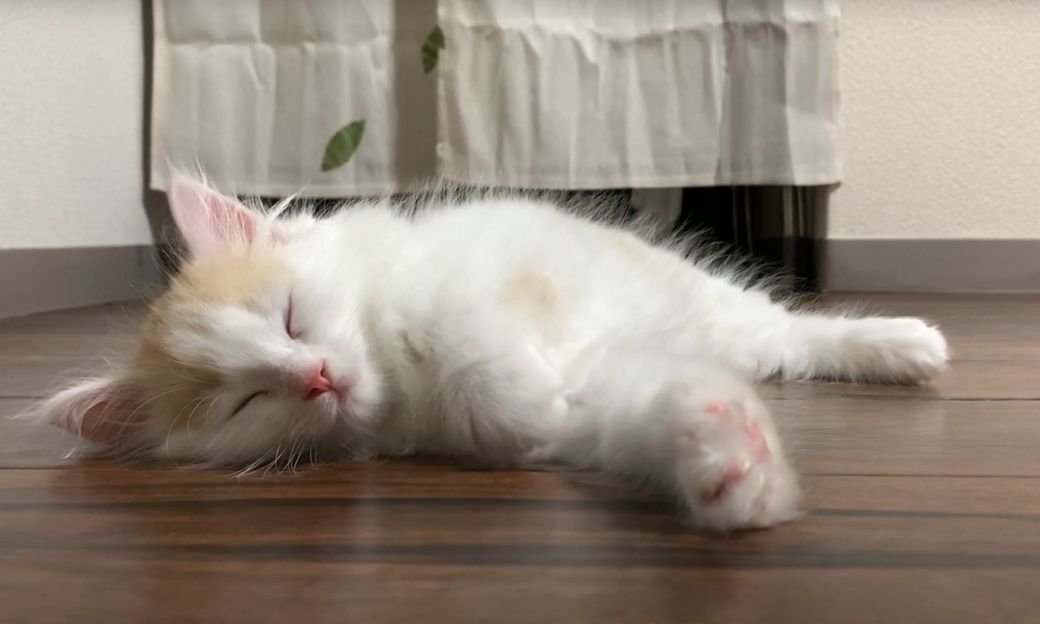 （写真提供：やすさん）