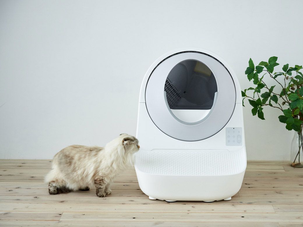 （写真：オーエフティー）