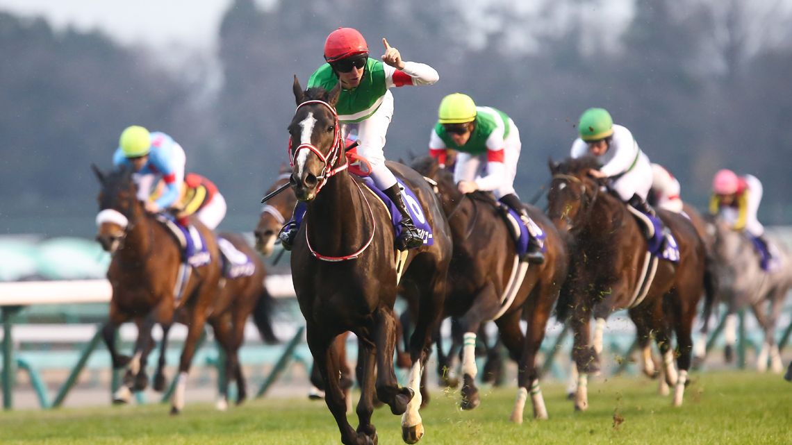 なぜ日本人は｢有馬記念｣を賭けてしまうのか リスク嫌いでもギャンブル大好きの摩訶不思議 | 新競馬好きエコノミストの市場深読み劇場 | 東洋経済オンライン