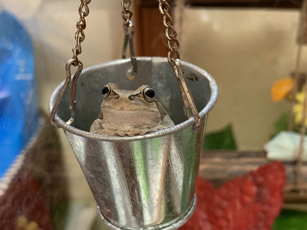 （写真提供：ぴよさん）