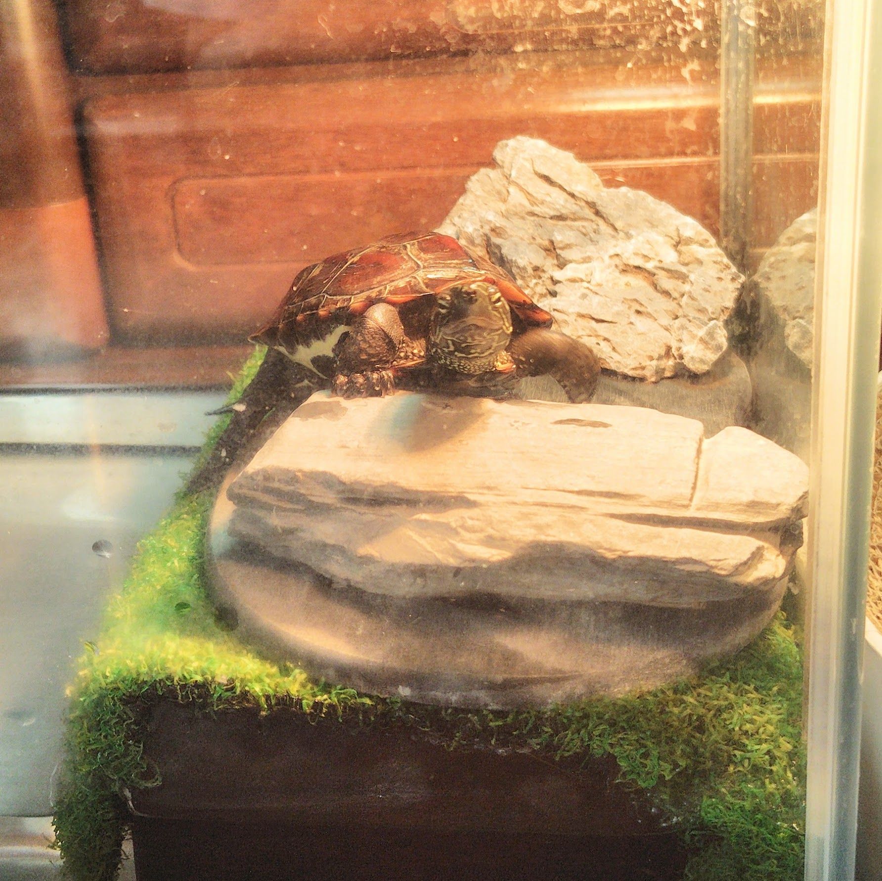 （写真提供：あめちさん）