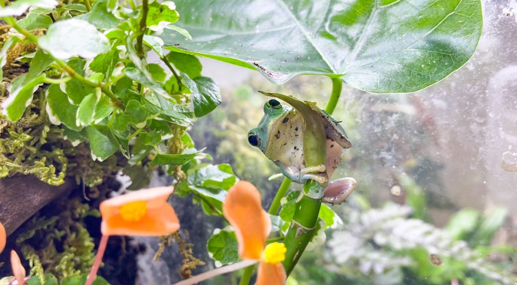 （写真提供：ぴよさん）