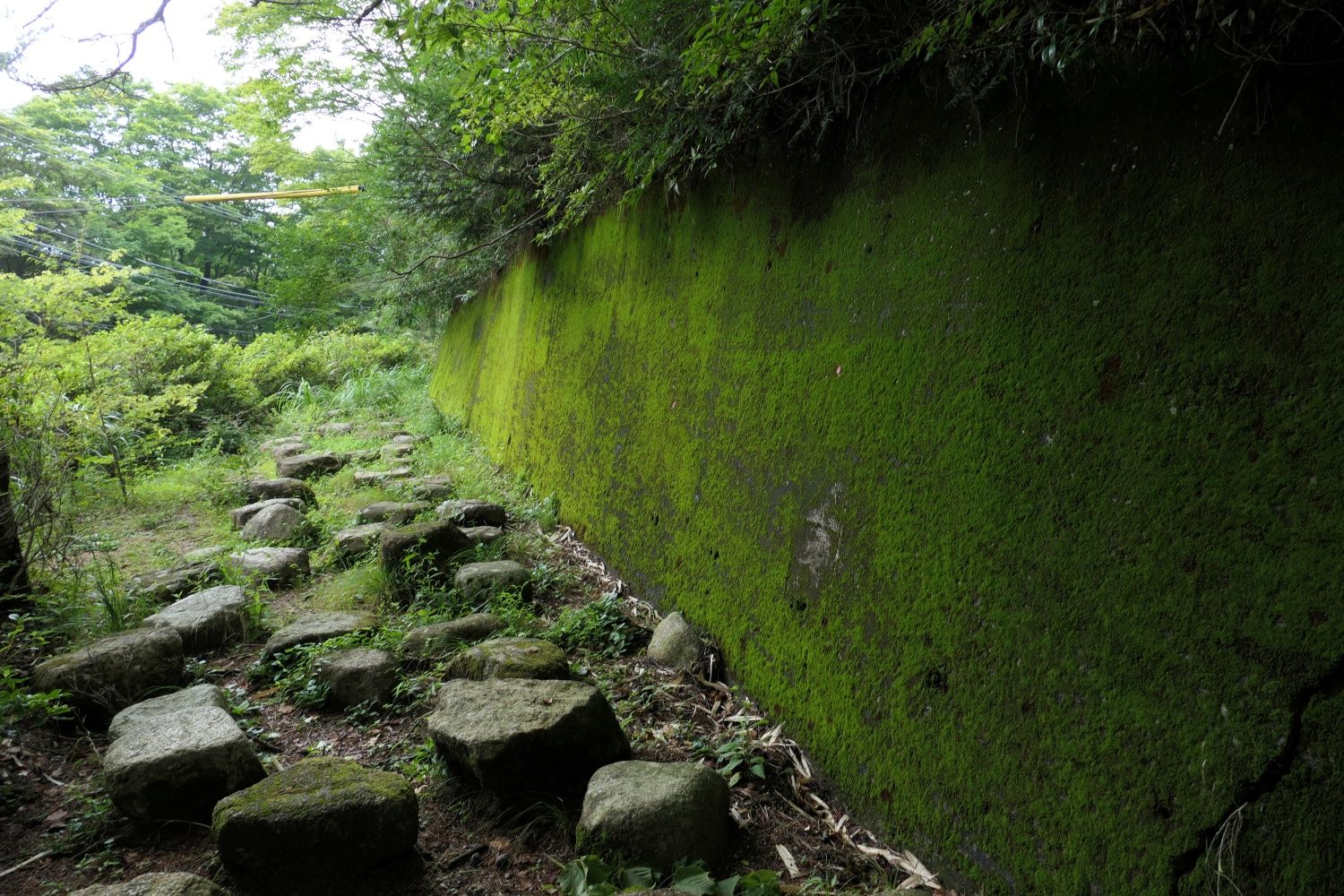 奥摩耶遊園地　マウントコースターの軌道跡