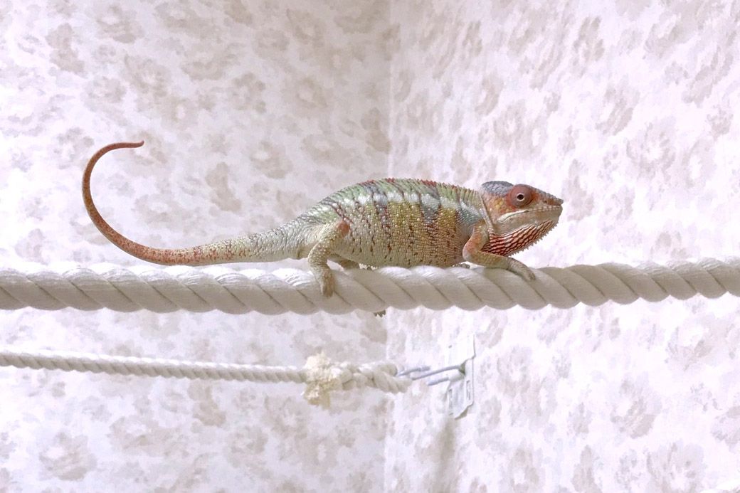 （写真：山村さん提供）