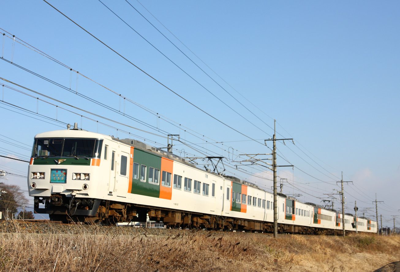 オレンジと緑の湘南色をモチーフにした塗装の田町電車区（田町車両センター）所属のリニューアル車（撮影：南正時）