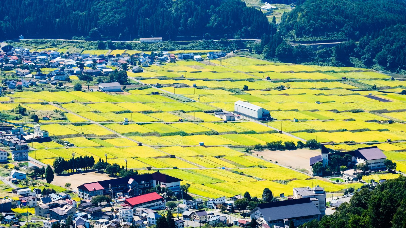 名古屋の隣にある｢村｣の日本一リッチな懐事情 ｢小さな村･地方の都市｣の知られざる実力 | 街･住まい | 東洋経済オンライン
