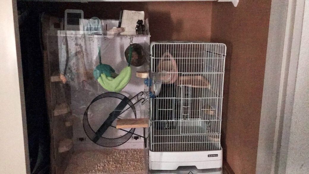 （写真：ひろさん提供）