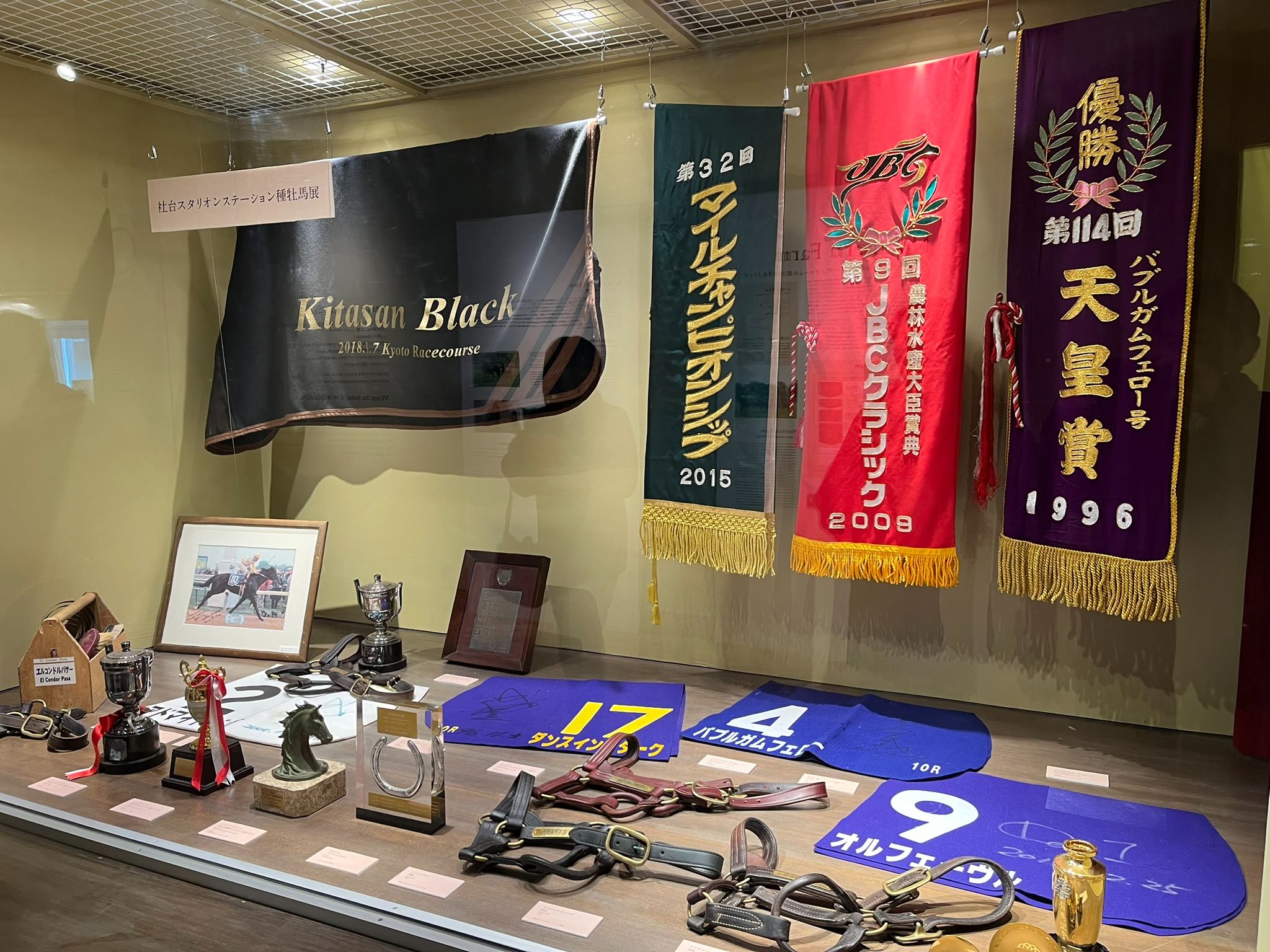 ノーザンホースパーク