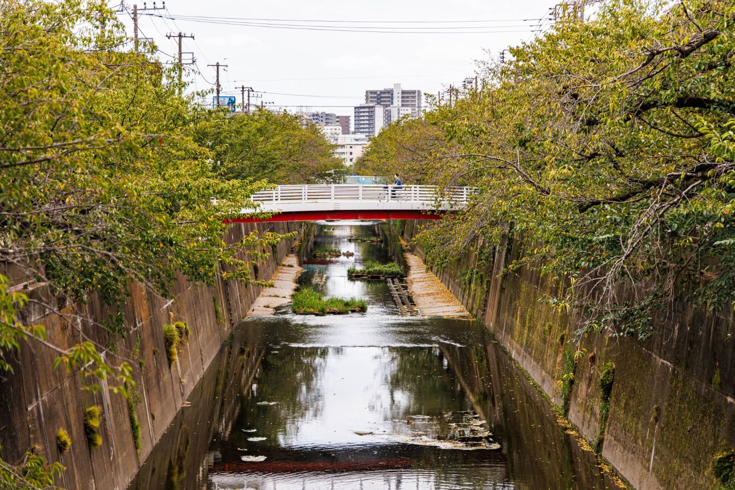 東武東上線　中板橋駅　石神井川