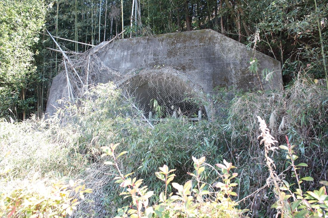遠江二俣―山東間：上半分だけ顔を出している白山トンネルの遠江二俣寄り坑口（筆者撮影）