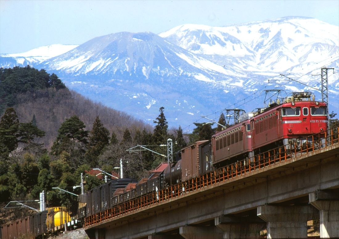 東北本線金谷川付近を行くED75形牽引の貨物列車（撮影：南正時）