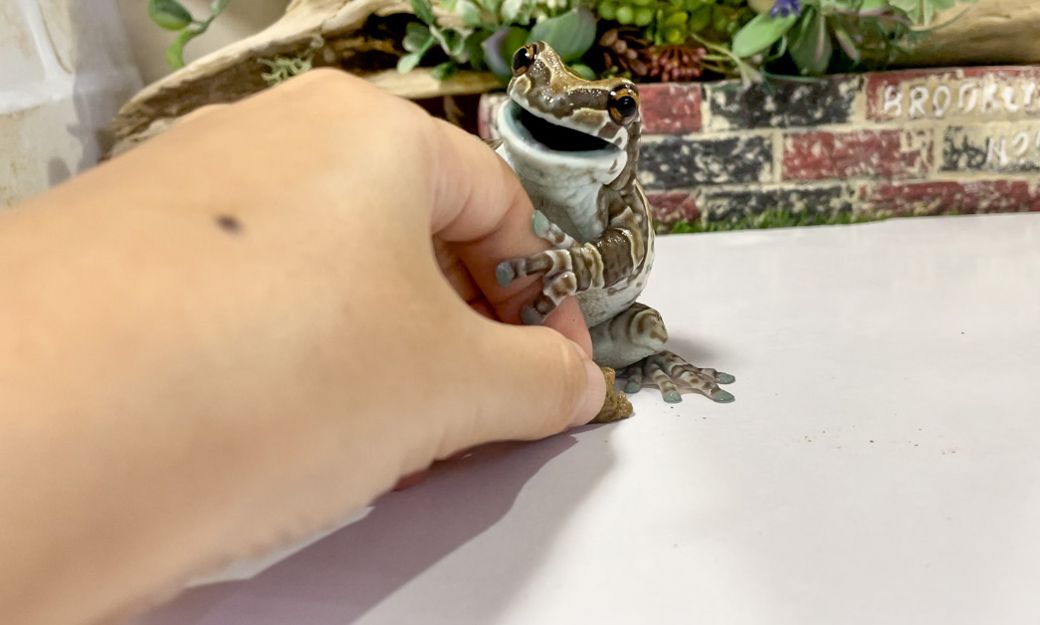 （写真提供：ぴよさん）