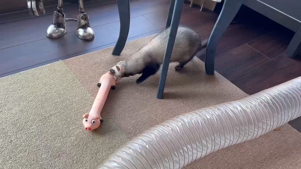 （写真提供：ミキさん）