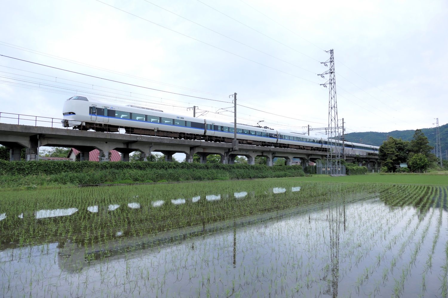 湖西線を走る特急「サンダーバード」。大阪・京都と北陸新幹線の敦賀を結ぶ（記者撮影）