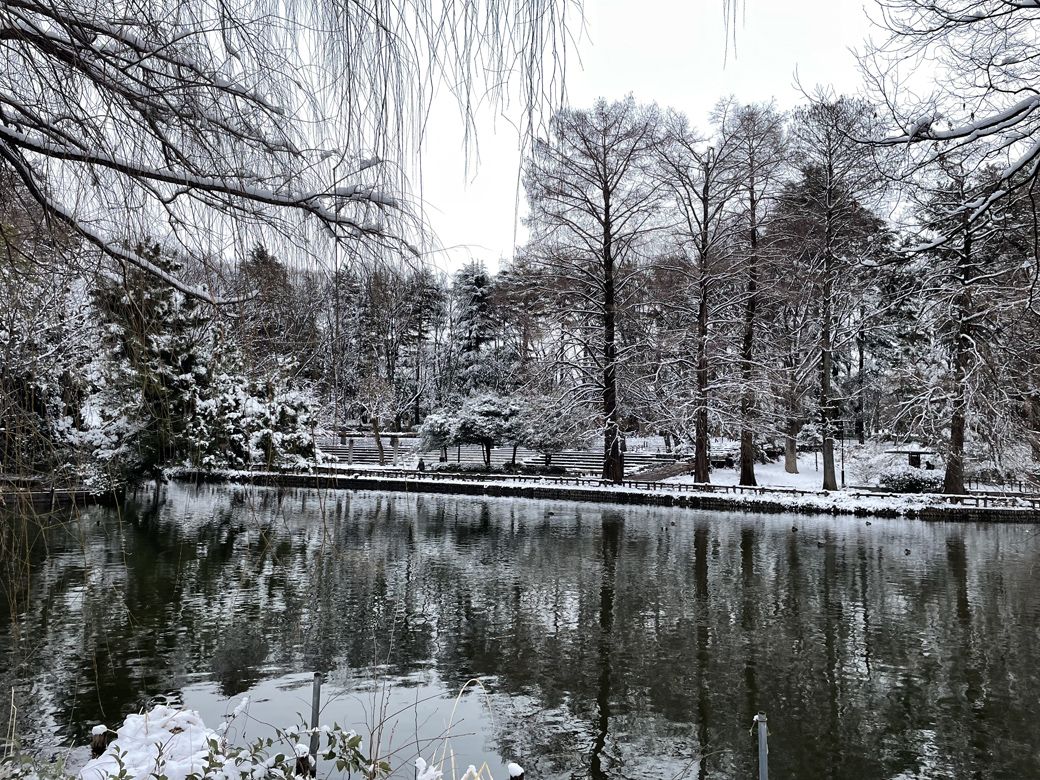 余白のある広さと、季節の移ろい。都市生活のなかで削られがちなものが、この公園には静かに残されていると感じた（写真：筆者撮影）