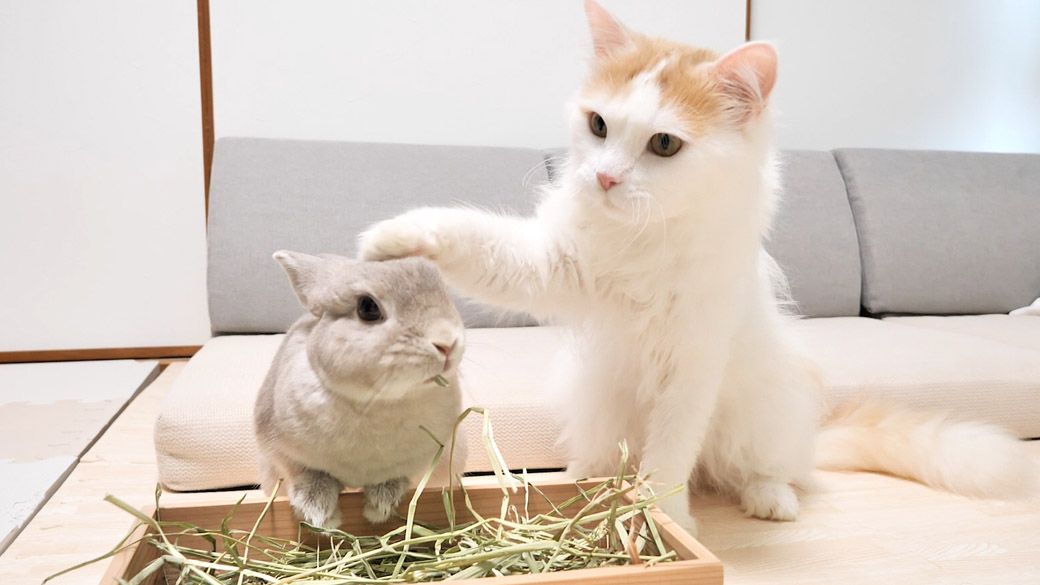 （写真：やすさん提供）