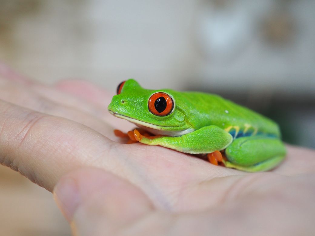 （写真提供：ぴよさん）