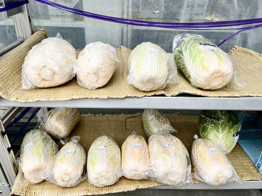 「マインズショップ狛江店」では、旬の地場農産物が売られている。この日は白菜コーナーがあった（筆者撮影）