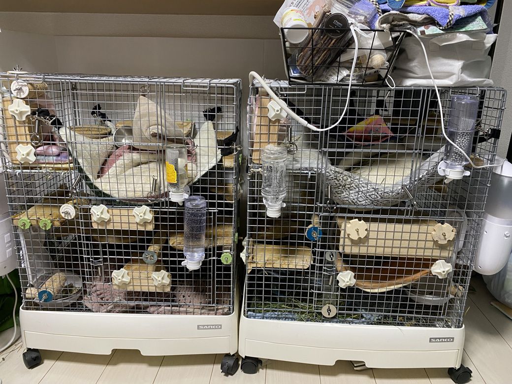 （写真：みきさん）