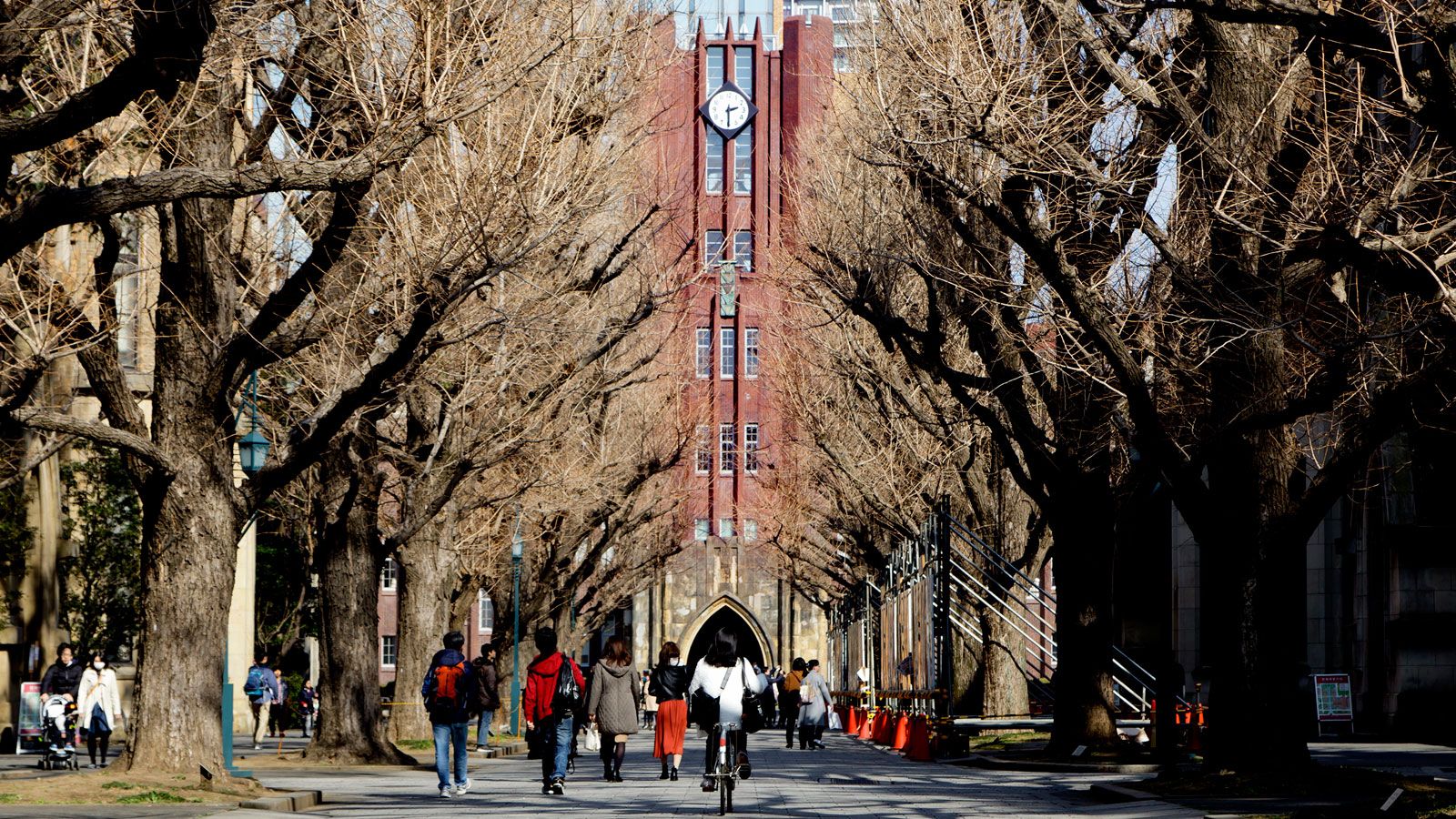 東大女子 が自分の大学名をごまかす理由 学校 受験 東洋経済オンライン 経済ニュースの新基準