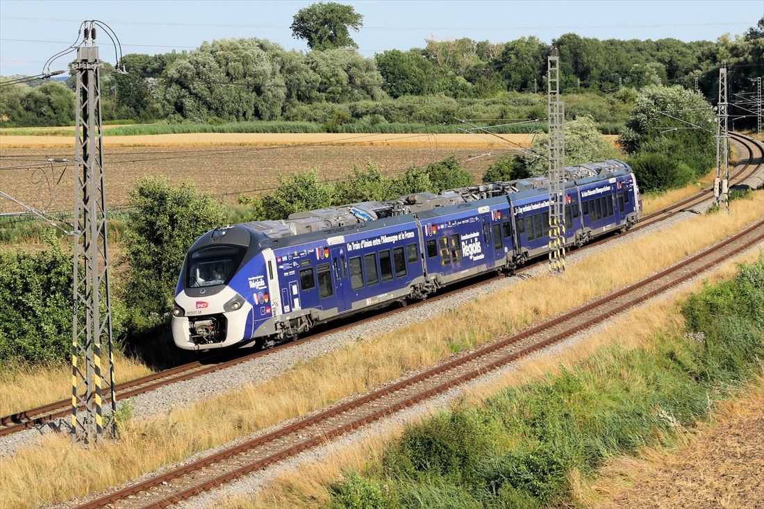 「コラディア・ポリヴァレント」はバイモード車両だ（撮影：橋爪智之）