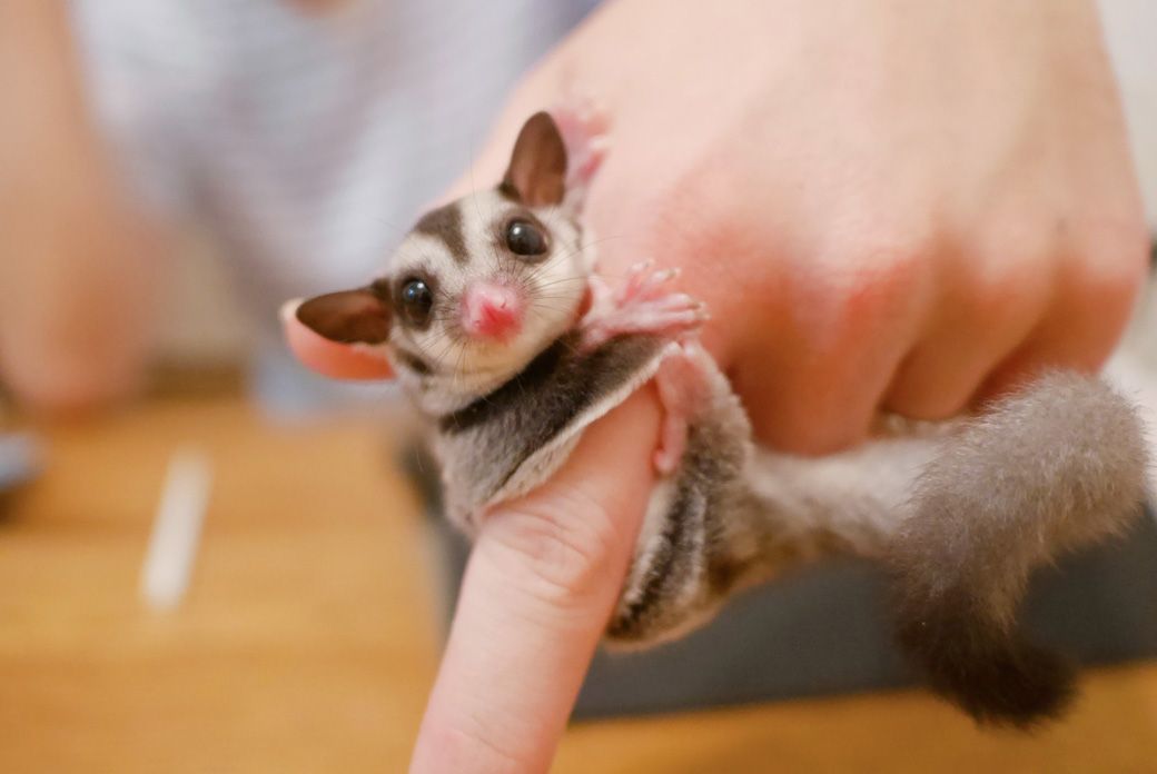 （写真提供：ひろさん）