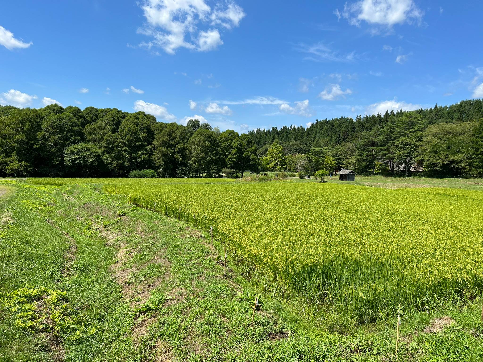 美しい里山の風景も「遠野ふるさと村」には残っています（筆者撮影）