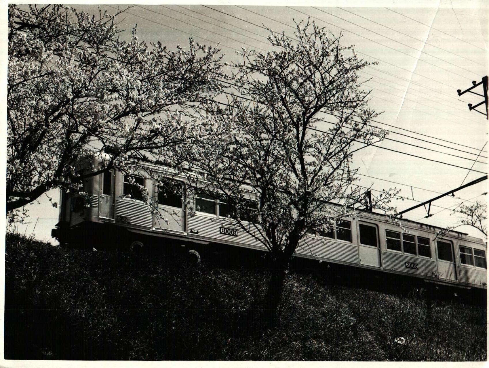 非冷房時代の南海6000系。台車の外側ディスクブレーキが光って見える（写真：南海電鉄）