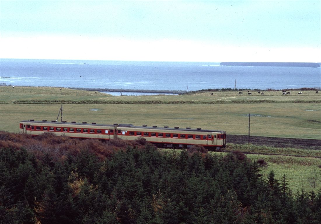 雄大な景色が広がる根室本線（撮影：南正時）