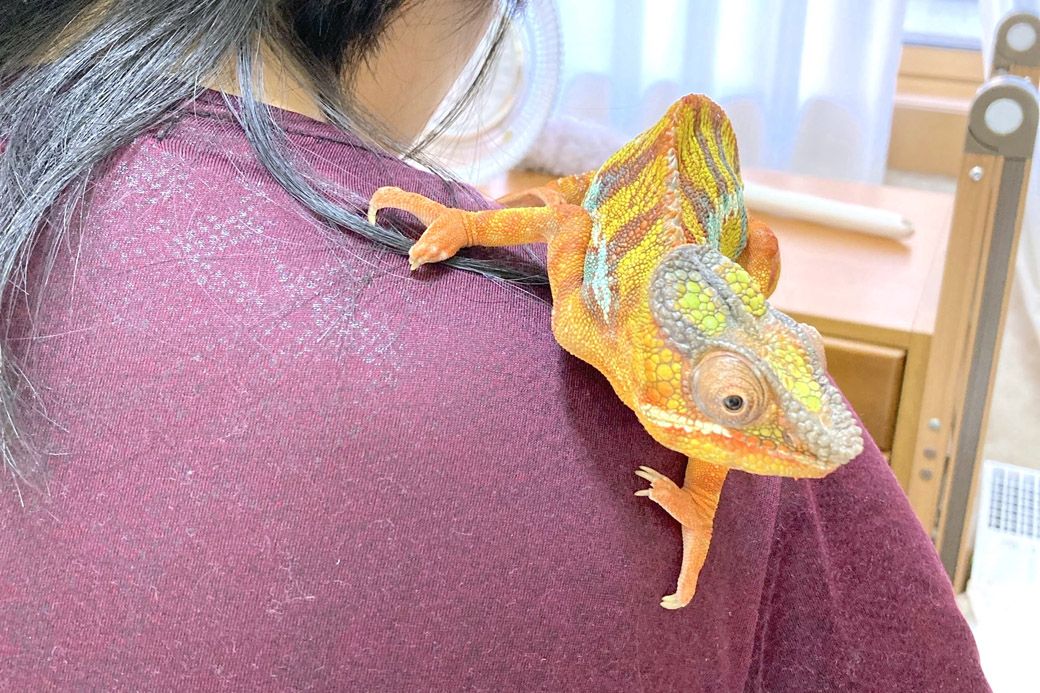 （写真：山村さん提供）