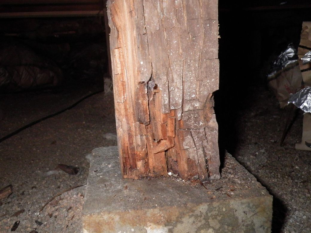 シロアリ被害による家屋倒壊