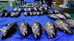 筆頭株主が2度目のTOB？うわさ飛び交う｢水産卸｣銘柄
