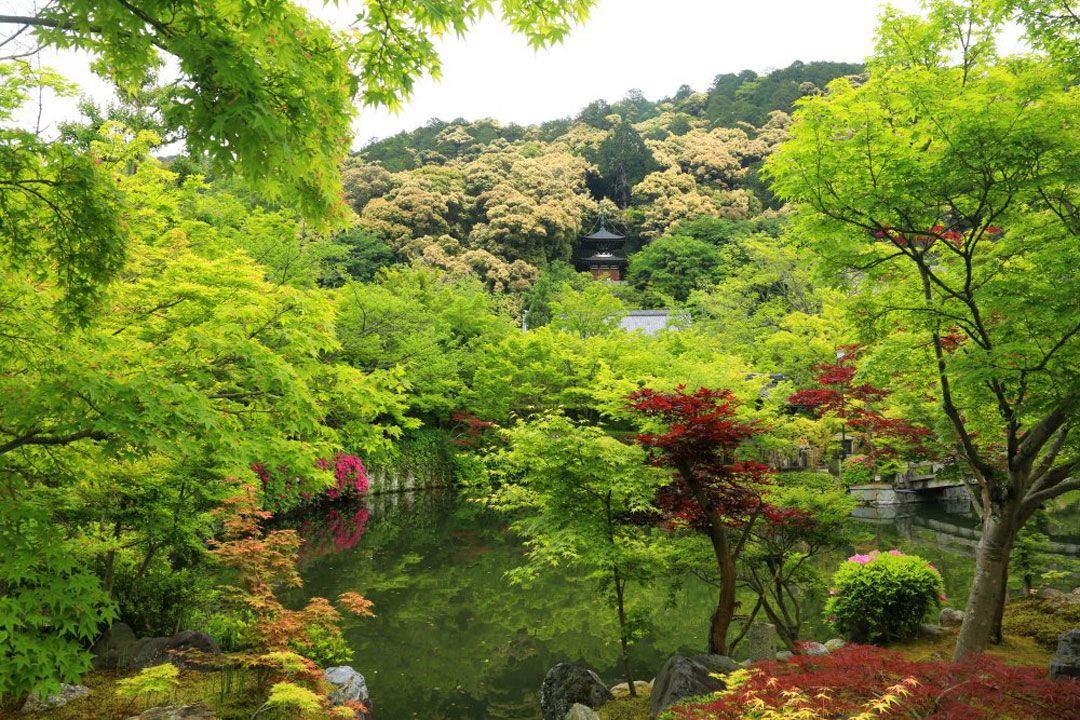 永観堂