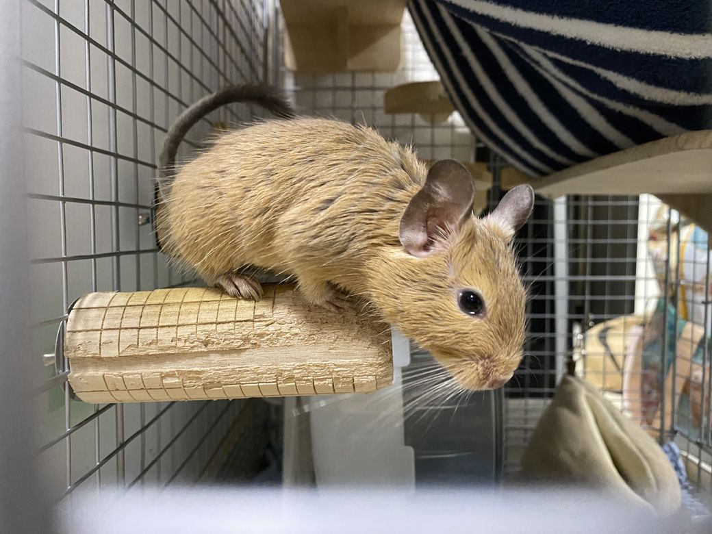 （写真：みきさん）