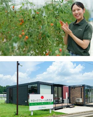 ドロップ（茨城県水戸市）