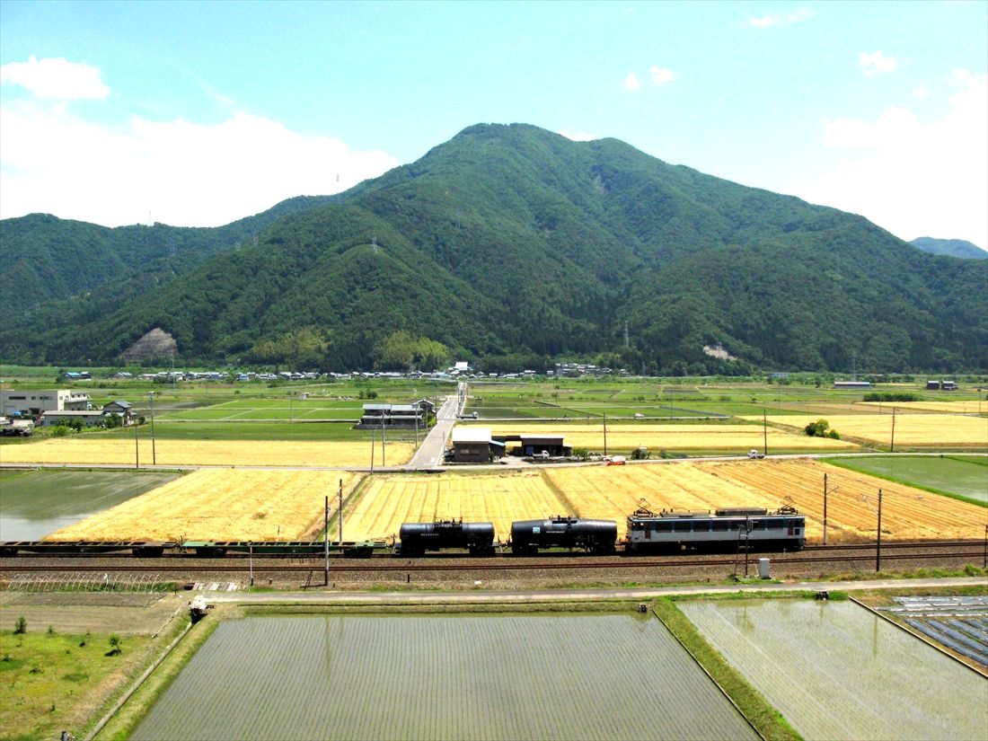 「越前富士」と呼ばれる日野山をバックに走るEF81形450番台牽引の貨物列車。現在はここを北陸新幹線の高架がクロスしている（撮影：南正時）