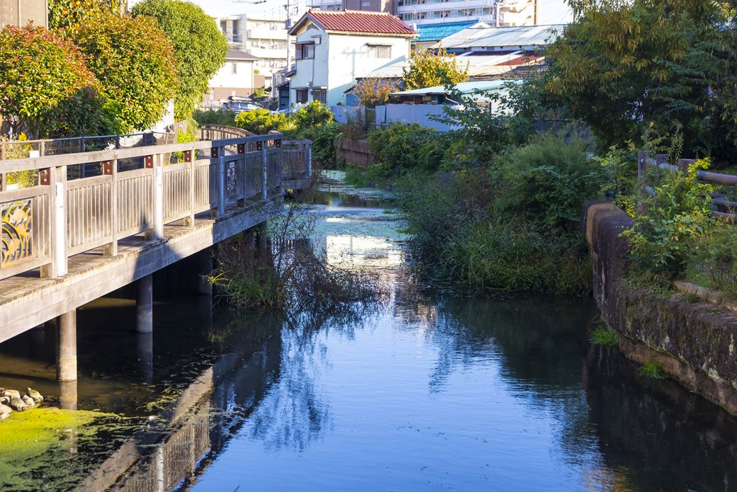 古隅田川緑道。ここも区境。写真左が足立区、右が葛飾区（撮影：今井 康一）