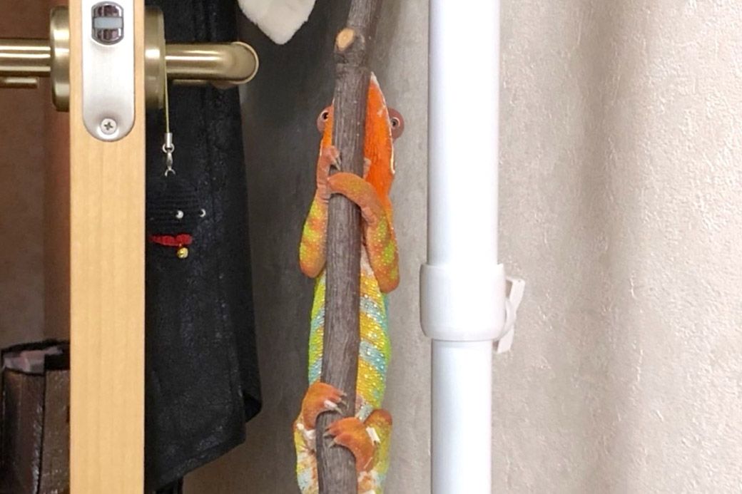 （写真：山村さん提供）