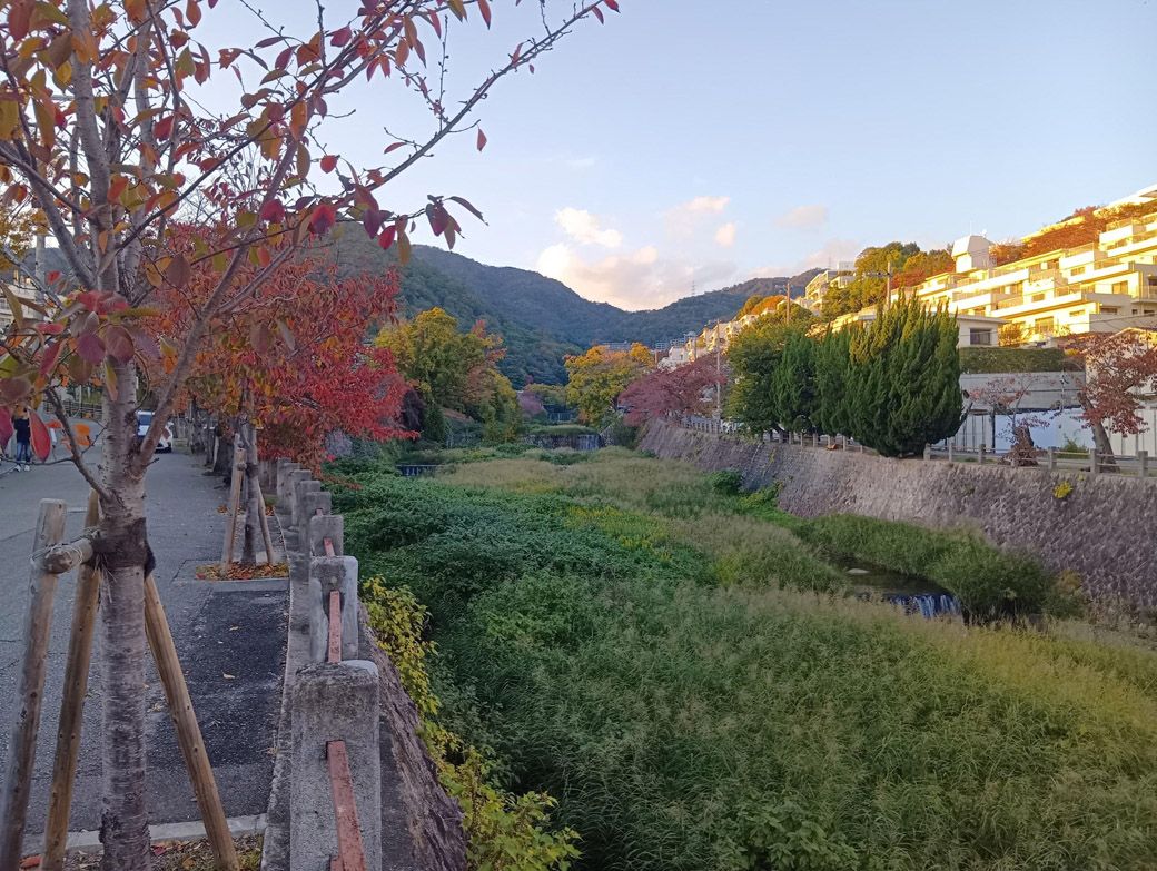 芦屋川の上流（筆者撮影）
