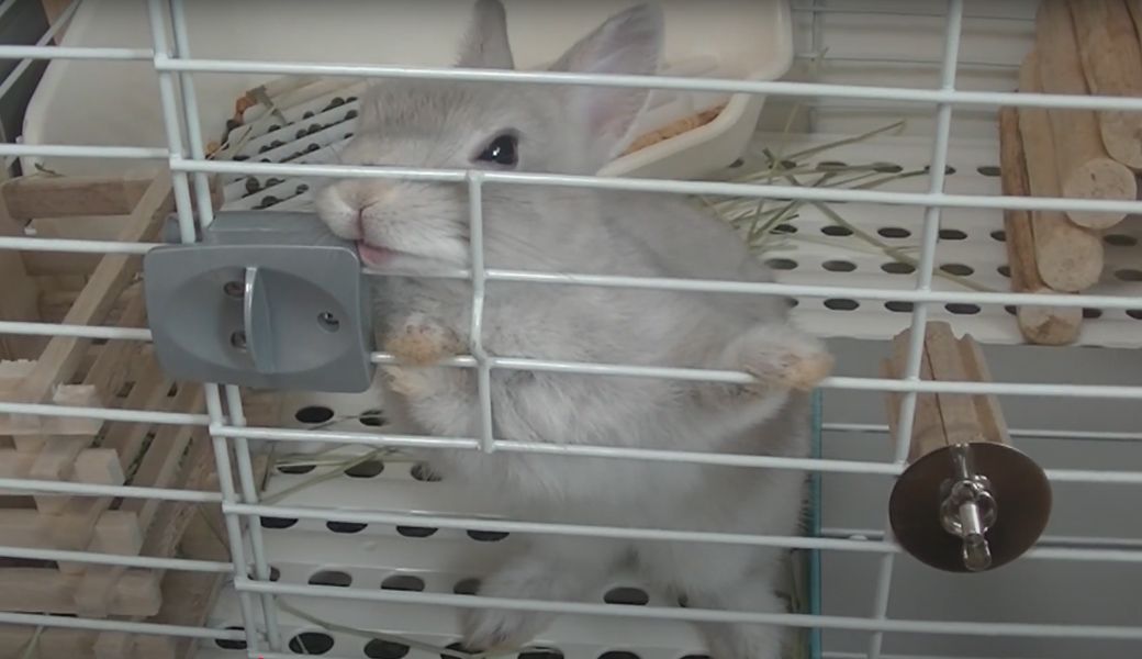 （写真提供：やすさん）