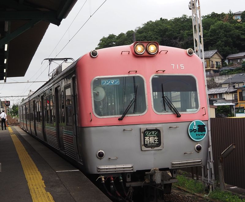 上毛電気鉄道700形つり革トレイン（筆者撮影）