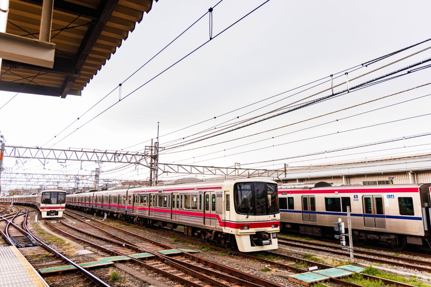 ホームの脇にも車両がずらりと並ぶ。車両基地がある駅らしい光景だ（撮影：鼠入昌史）