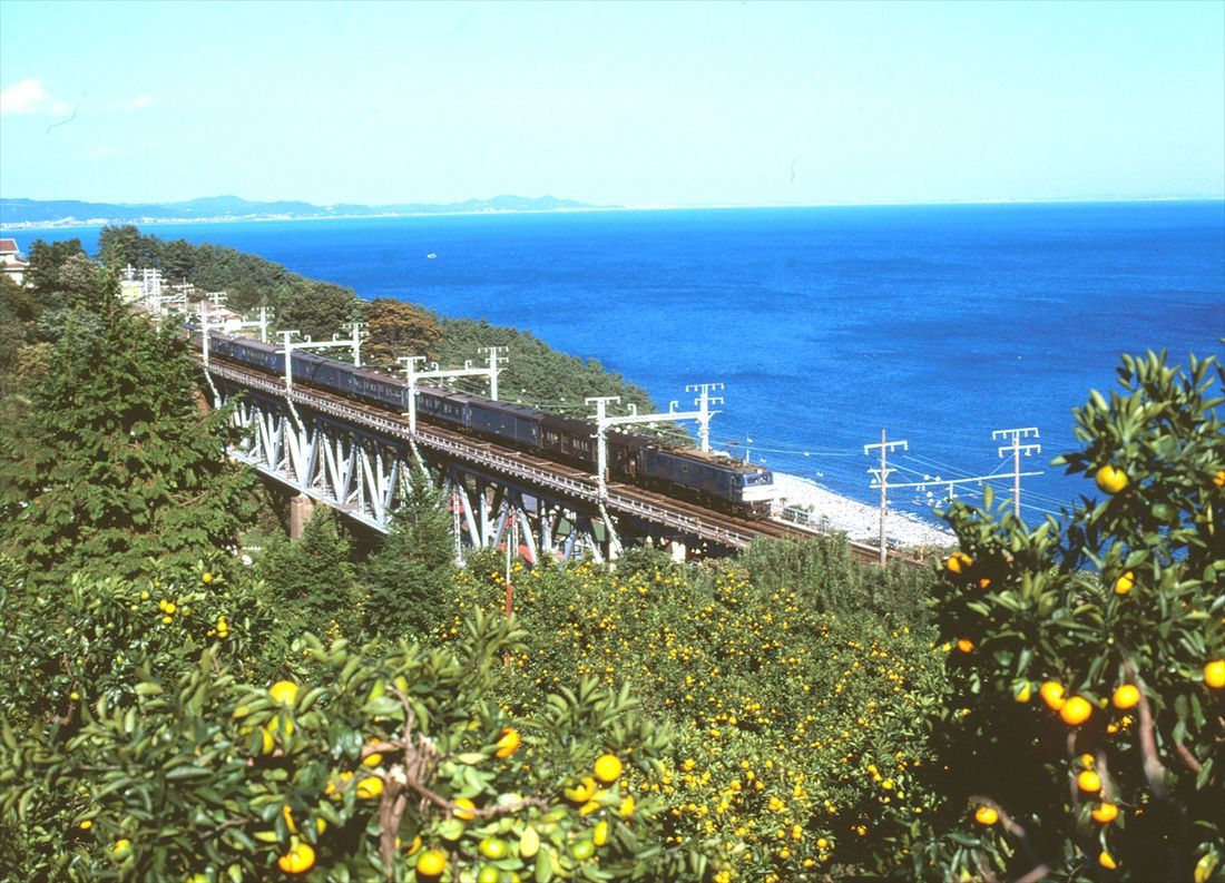 ミカン畑から俯瞰した、根府川鉄橋を渡るEF58形牽引の荷物列車（撮影：南正時）