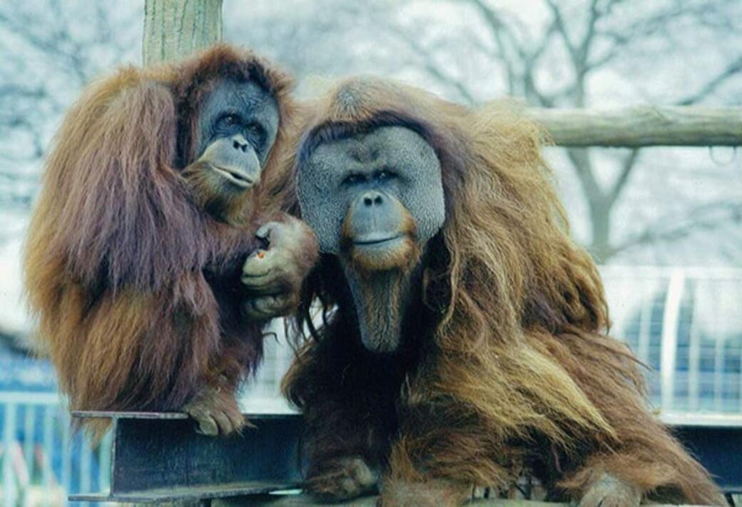 市川市動植物園
