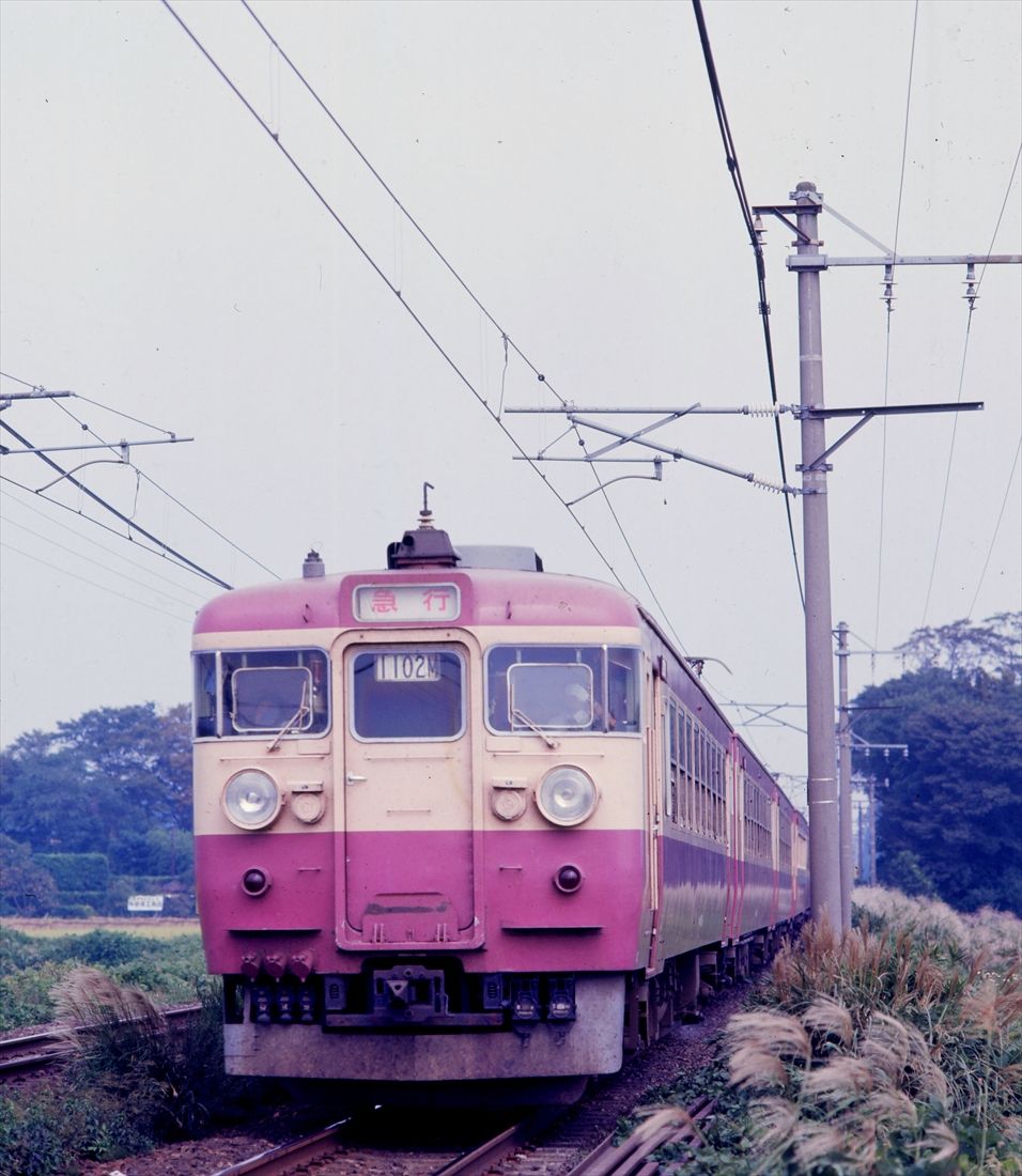 東北本線の急行「まつしま」（撮影：南正時）
