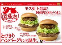 これがモスバーガーの生きる道! /思わず行きたくなる遊園地 /バイオタイプP 《それゆけ!カナモリさん》