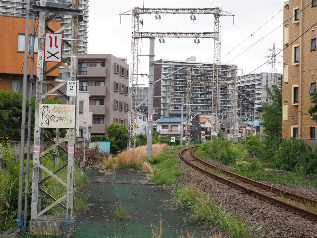 線路は草に埋もれていてローカル線の雰囲気だが周囲はマンションが林立している（編集部撮影）
