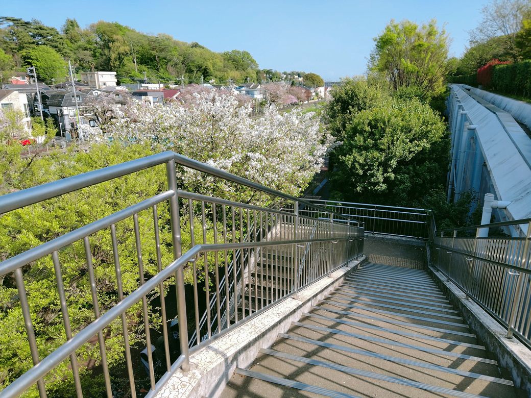 「きたみふれあい広場」に上がる階段から成城の丘方面を見た風景（提供：コマツさん）