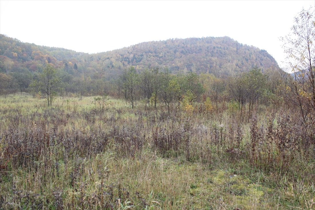 上徳志別―北見大曲間：かつてあった築堤はきれいさっぱり撤去されていた（筆者撮影）