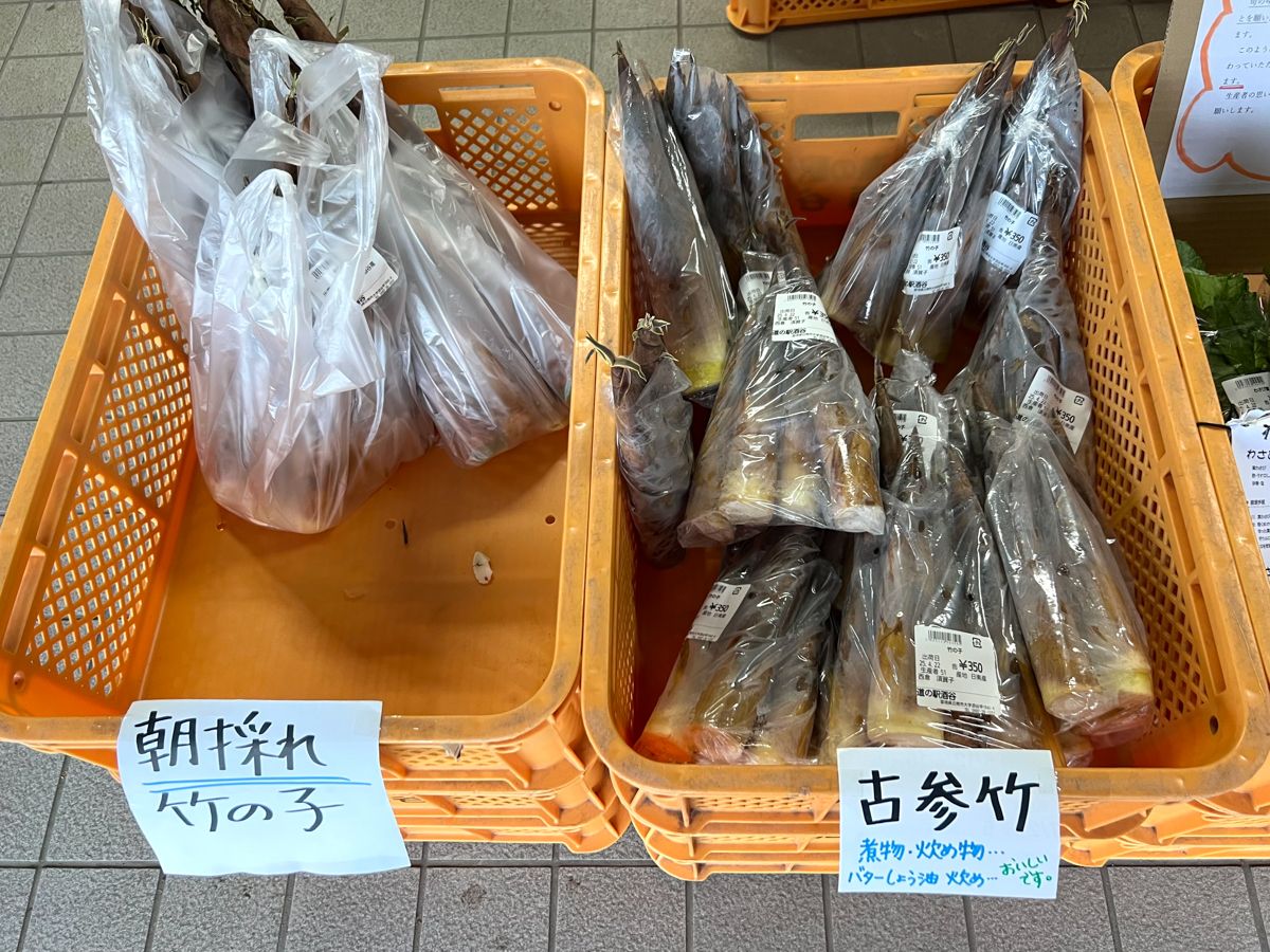 朝採れたけのこに古参竹も並ぶ（筆者撮影）